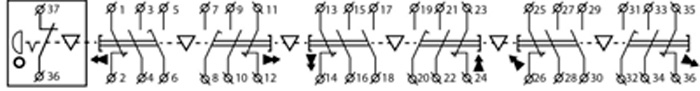 Рис.1. Схема подключения поста кнопочного XAL-B3-6913К